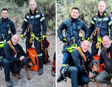 Λαμία: Άνδρες της ΕΜΑΚ διέσωσαν κυνηγόσκυλο που είχε εγκλωβιστεί σε φαράγγι