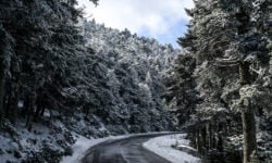 Διακοπή κυκλοφορίας οχημάτων στην λεωφόρο Πάρνηθος, λόγω χιονόπτωσης