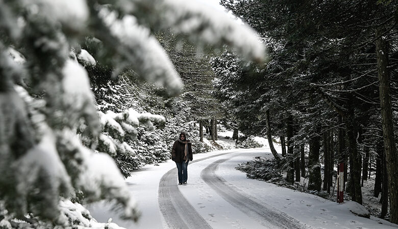 «Καμπανάκι» από Σάκη Αρναούτογλου: Έρχονται πυκνές χιονοπτώσεις από την Κυριακή και στα πεδινά-παραθαλάσσια