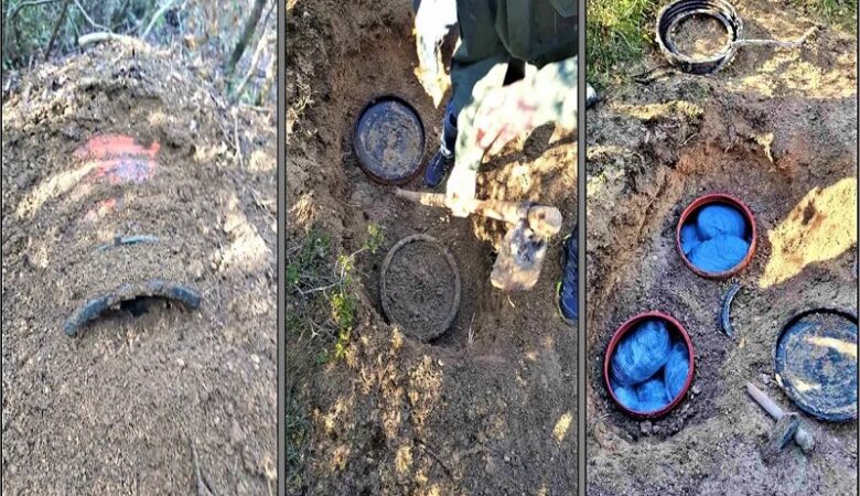 Λάρισα: Ο σκύλος της ΕΛ.ΑΣ. εντόπισε πάνω από 70 κιλά κάνναβης σε βαρέλια θαμμένα στο έδαφος