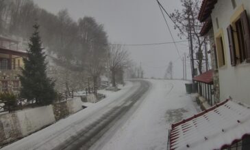 Κακοκαιρία «Barbara»: Στα «λευκά» δυτική και κεντρική Μακεδονία – Πυκνή χιονόπτωση σε Μαγνησία και Σποράδες