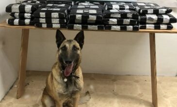 Ροδόπη: Ο αστυνομικός σκύλος «Λάικα» μύρισε 32 κιλά κάνναβη στην οροφή Ι.Χ. αυτοκινήτου