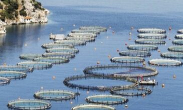 Έως 15 Μαρτίου οι αιτήσεις για αποζημιώσεις σε αλιεία και υδατοκαλλιέργεια
