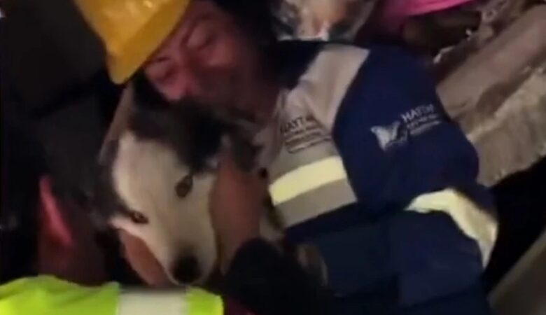 Σεισμός στην Τουρκία: Ένας μεγαλόσωμος σκύλος ανασύρθηκε ζωντανός από τα ερείπια μετά από 23 ημέρες – Δείτε βίντεο