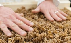 Χρήση αλεύρων από έντομα στα τρόφιμα – Πώς ξέρουμε τι τρώμε 