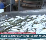 Ιχθυοπώλες Βαρβακείου: Στα 4,98 ευρώ/κιλό ο ξαρμυρισμένος μπακαλιάρος ποιότητας pollock