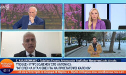 Λαγονήσι: «Ο άνδρας που πυροβόλησε ίσως προστάτευε κάποιον» – Τι αποκάλυψε ο Καλλιακμάνης