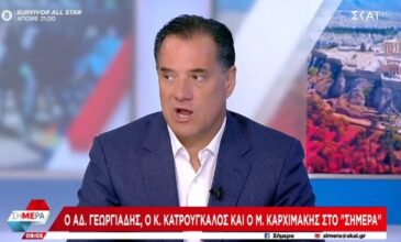 Γεωργιάδης για Αλέξη Γεωργούλη: «Είναι προφανές πως ο Τσίπρας γνώριζε, δεν είμαστε χαζοί»