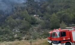 Μαγνησία: Ξέσπασαν φωτιές στην περιοχή Σέσκλο πολύ κοντά στον αρχαιολογικό χώρο