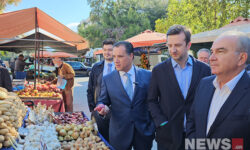 Ο Άδωνις Γεωργιάδης σε λαϊκή αγορά του Χαλανδρίου και σε σούπερ μάρκετ – Δείτε εικόνες του news
