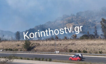 Άγιοι Θεόδωροι: Φωτιά στην Εθνική Οδό Αθηνών-Κορίνθου – Αμάξι τυλίχθηκε στις φλόγες και μεταδόθηκε σε χαμηλή βλάστηση