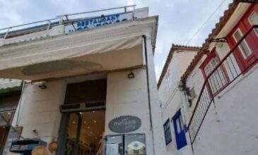 Πρόστιμο 15.000 ευρώ σε 58χρονο που πέταξε γάτα από τον 1ο όροφο καταστήματος στην Ύδρα