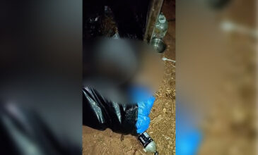 Κτηνωδία στον Ασπρόπυργο: Χτύπησαν, βασάνισαν και πέταξαν σε κάδο σκουπιδιών κουταβάκια