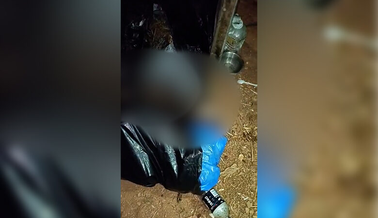 Κτηνωδία στον Ασπρόπυργο: Χτύπησαν, βασάνισαν και πέταξαν σε κάδο σκουπιδιών κουταβάκια
