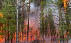 Ρωσία: Επτά νεκροί σε δασικές πυρκαγιές που μαίνονται στα Ουράλια