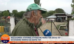 Στο Αυτόφωρο ο άνδρας που κακοποίησε σκύλο στον Λαγκαδά Θεσσαλονίκης