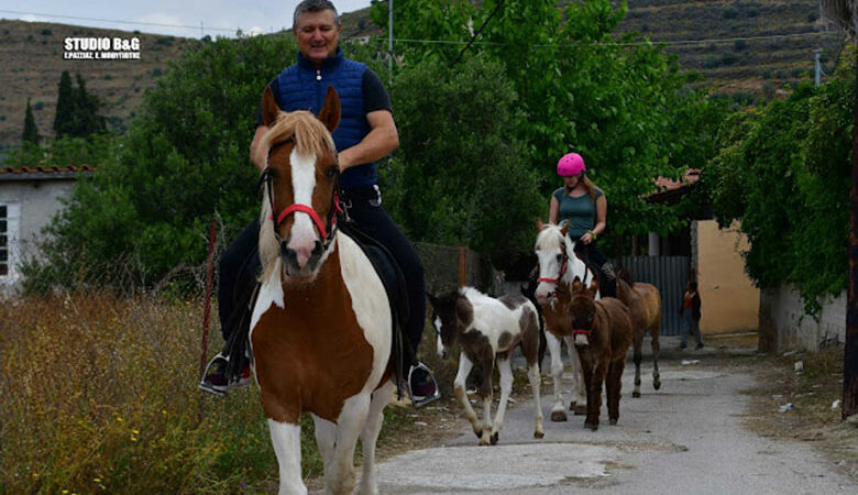 Πρωτότυπη διαμαρτυρία στο Ναύπλιο: Αγρότης πήγε σε εκλογικό τμήμα με άλογα και γαϊδούρια