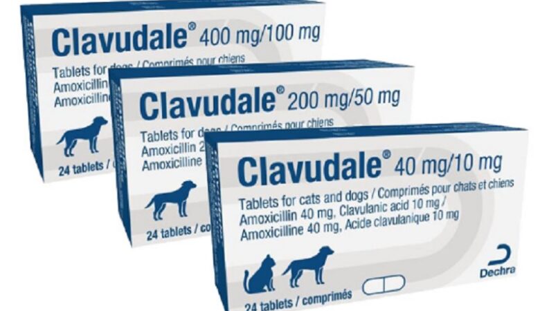 Ο ΕΟΦ ανακαλεί παρτίδες του κτηνιατρικού αντιβιοτικού Clavudale