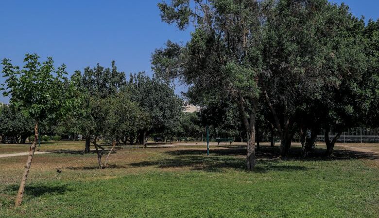 Ο Δήμος Αθηναίων γιορτάζει με κέφι και μουσική την Ευρωπαϊκή Ημέρα Πάρκων σε 7 δροσερά σημεία της πόλης