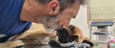 Πέθανε το σκυλάκι που βρέθηκε σκελετωμένο και αλυσοδεμένο στη Ζαχάρω Ηλείας