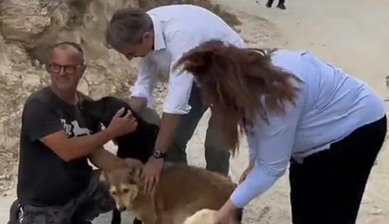 Το TikTok του Μητσοτάκη: Ανέβασε βίντεο από την επίσκεψη στο καταφύγιο ζώων στην Ιεράπετρα – «Ο Πίνατ εγκρίνει!»