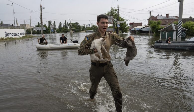 Ουκρανία: Οι διασώστες δίνουν αγώνα για να σώσουν κατοικίδια στις πλημμυρισμένες περιοχές