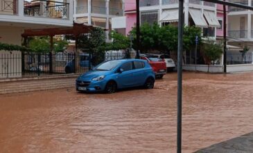 Χαλκιδική: Καταστροφές και προβλήματα στο οδικό δίκτυο λόγω της ισχυρής βροχόπτωσης