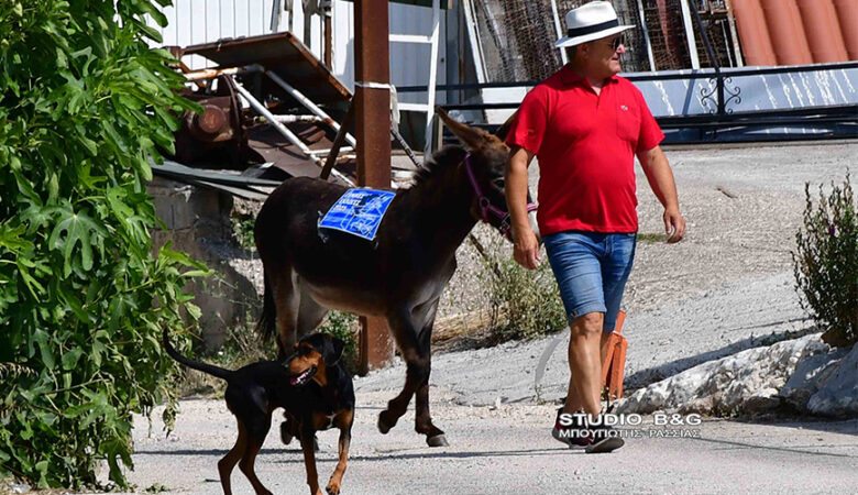 Ναύπλιο: Αγρότης πήγε να ψηφίσει μαζί με το γαϊδουράκι του