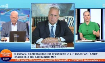 Βορίδης για Κασιδιάρη και Σπαρτιάτες: «Αυτά όλα έχουν πέσει στην αντίληψή μας και είναι υπό αξιολόγηση»