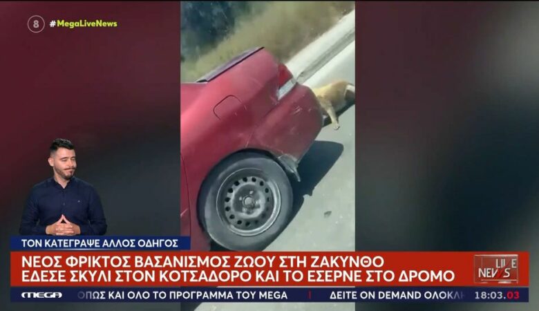 Ζάκυνθος: Ελεύθερος χωρίς περιοριστικούς όρους ο 75χρονος που έσερνε σκύλο με το αυτοκίνητο