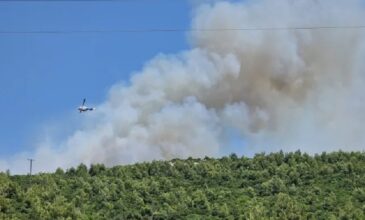 Βελτιωμένη εικόνα από την πυρκαγιά σε δασική έκταση στο Μαρκόπουλο Ωρωπού