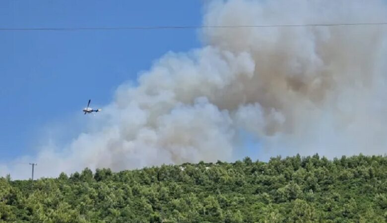 Βελτιωμένη εικόνα από την πυρκαγιά σε δασική έκταση στο Μαρκόπουλο Ωρωπού