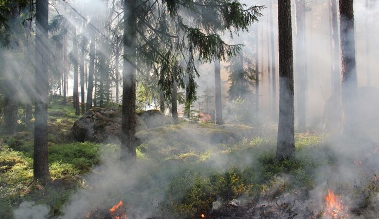 Πολύ υψηλός κίνδυνος πυρκαγιάς αύριο Σάββατο σε βόρειο και νότιο Αιγαίο