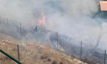 Φωτιά σε δασική έκταση στην Κεφαλονιά – Καίει κοντά σε κατοικημένη περιοχή