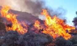 Μεγάλη φωτιά σε δασική έκταση στον δήμο Αρχανών Αστερουσίων στο Ηράκλειο
