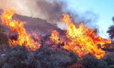 Νάξος: Μαίνεται η φωτιά στα ορεινά του νησιού – Κλειστοί οι δρόμοι από Μονή και Απείρανθο
