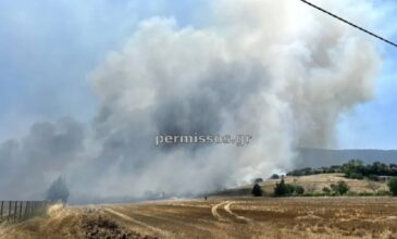 Φωτιά σε αγροτοδασική έκταση στο Καπαρέλλι Βοιωτίας