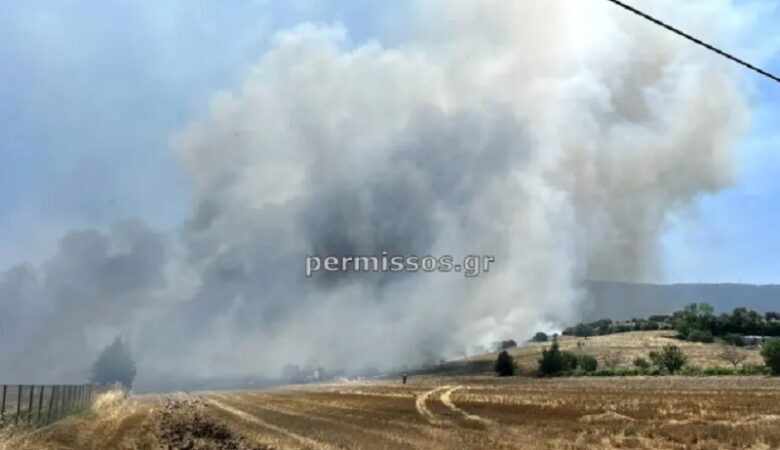 Φωτιά σε αγροτοδασική έκταση στο Καπαρέλλι Βοιωτίας