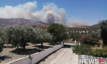 Μεγάλη φωτιά στο Νέο Κουβαρά Αττικής – Μήνυμα του 112 για εκκένωση προς Κερατέα