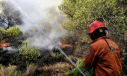 Φωτιά σε δασική έκταση κοντά στον Πολύγυρο Χαλκιδικής