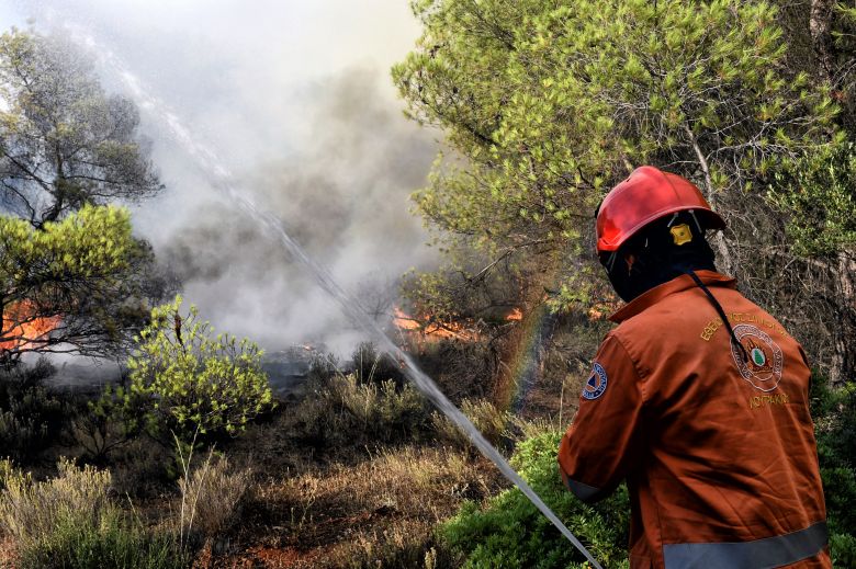 Φωτιά σε δασική έκταση κοντά στον Πολύγυρο Χαλκιδικής