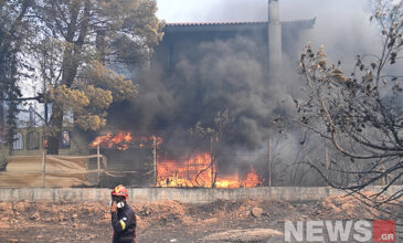 Μεγάλη φωτιά στον Κουβαρά Αττικής – Καίγονται σπίτια στο Λαγονήσι – Εντολή εκκένωσης προς Αθήνα