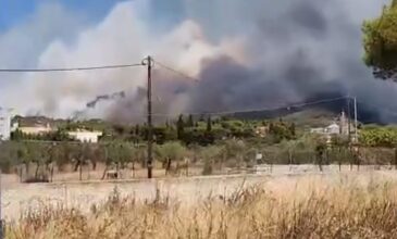 Μεγάλη φωτιά σε δασική έκταση στο Λουτράκι – Απειλείται ο οικισμός Ειρήνη