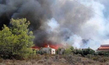 Μεγάλη φωτιά στο Λουτράκι: Σπίτια κάηκαν, κάτοικοι απεγκλωβίστηκαν, οικισμοί και εγκαταστάσεις εκκενώθηκαν
