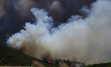 Καταστροφικές φωτιές στην Αττική: Επιπτώσεις και μέτρα προστασίας από την έκθεση στον καπνό και τα αιωρούμενα σωματίδια