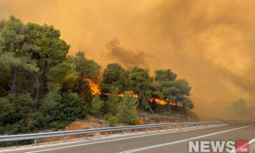 Δύσκολη η κατάσταση από την πυρκαγιά στα Δερβενοχώρια: Συγκλονίζουν οι εικόνες – Επιχειρούν 250 πυροσβέστες, 11 αεροσκάφη και 9 ελικόπτερα
