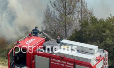 Σε εξέλιξη μεγάλη πυρκαγιά στην Ηράκλεια Ηλείας