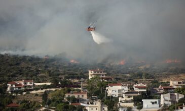 ΣΥΡΙΖΑ: Ερώτηση για τις καταστροφικές πυρκαγιές κατέθεσε ο Φάμελλος προς τον πρωθυπουργό