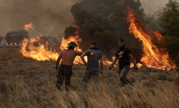 ΚΚΕ: Ακραία η «γύμνια» του κρατικού μηχανισμού για άλλη μια φορά στις πυρκαγιές