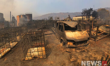 «Κρανίου τόπο» άφησε το πέρασμα της φωτιάς κοντά στην Οινόη και στη Στεφάνη – Δείτε τις φωτογραφίες του News